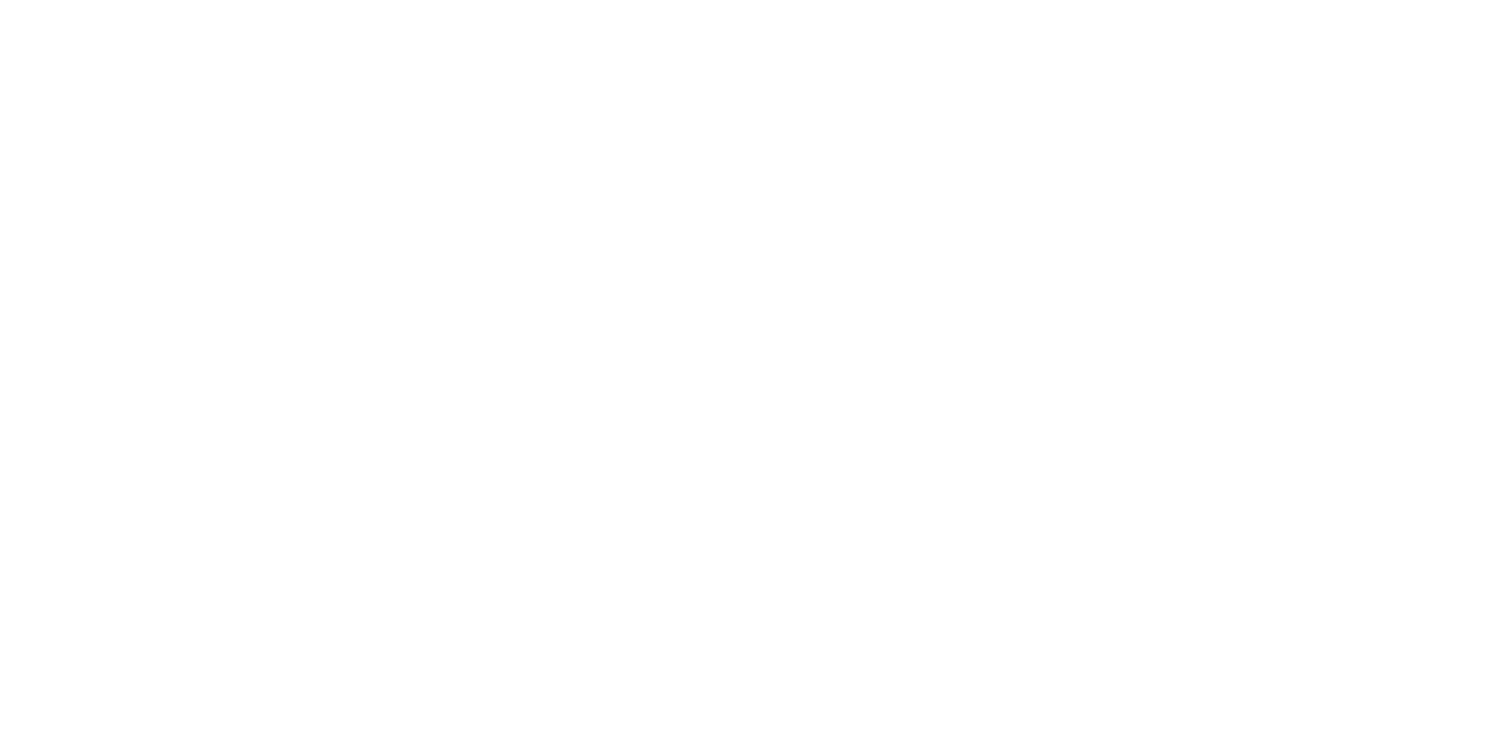 Singular Stories — shows de drones